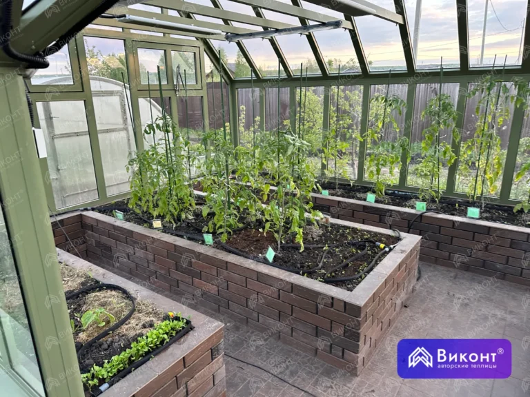 #323 Теплица «Леди Мэри» 45° 3,6×6,7 м с вентиляцией (Мордовия) (6)