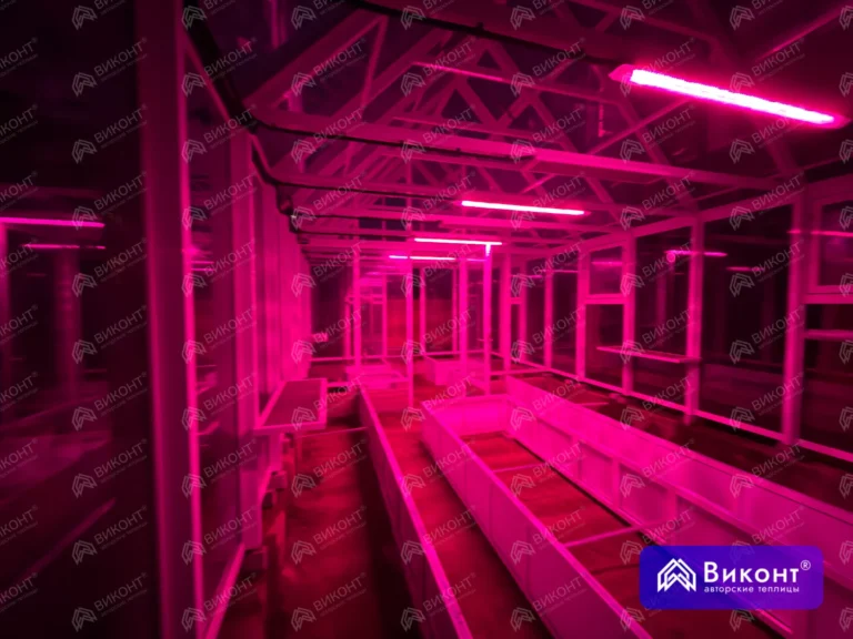 #437 Теплица «Оливер» 35° 4×8 м 9016 демисезон бок 2м Братск (9)